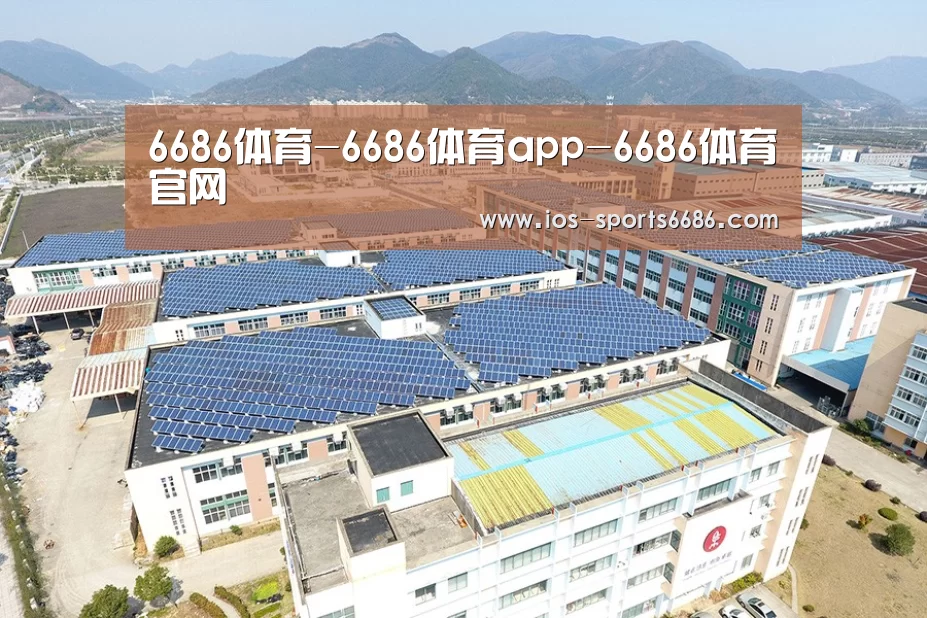案例展示一