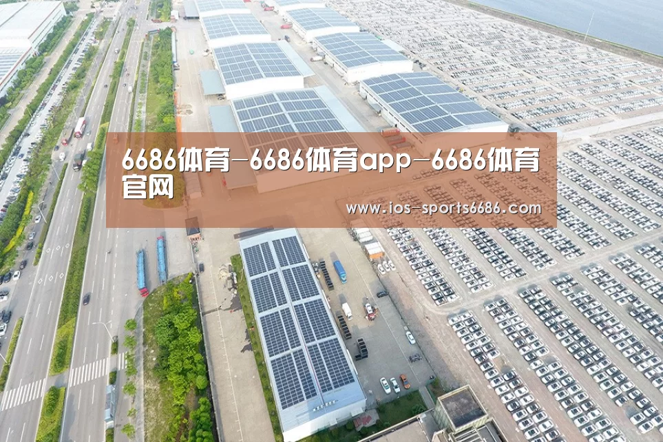 案例展示二